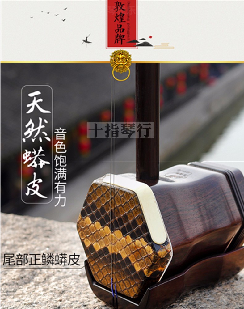 敦煌二胡09  10.jpg